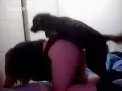 The dog is aware that it's time to fuck its owner.